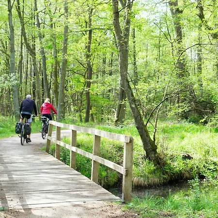 アパート Mueritzrast - Mit Terasse Und Mueritzblick